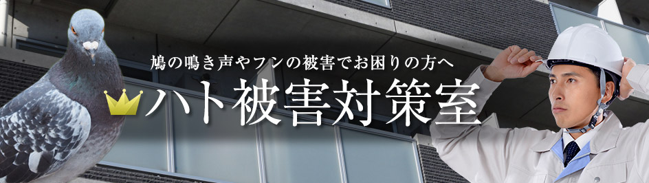 石川県のハト対策業者ランキング